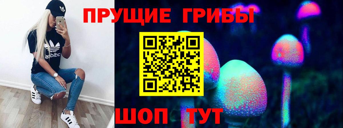 Галлюциногенные грибы Cubensis Карпинск